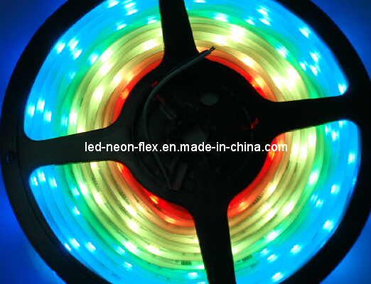 Two Years Warrantyled Digital Full Color IC RGB Strip Light (Color Changing Light)