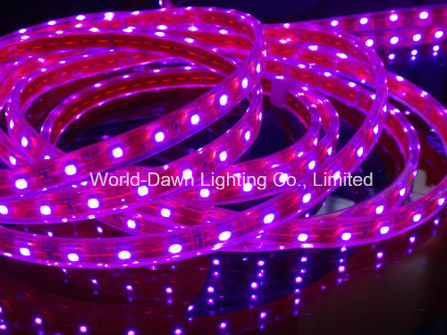 CE EMC LVD RoHS Two Years Warranty, High Lumen SMD3528 LED Strip Light (WDSMD3528-60)