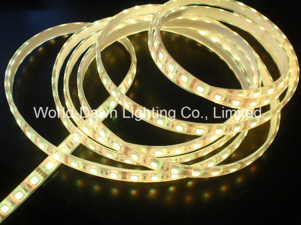 High Brightness Flexible LED Strip with CE Approval for Waterproof IP65 Item