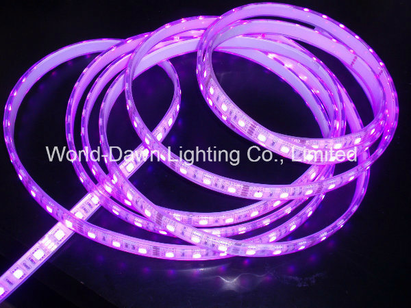 High Brightness Flexible LED Strip with CE Approval for Waterproof IP65 Item