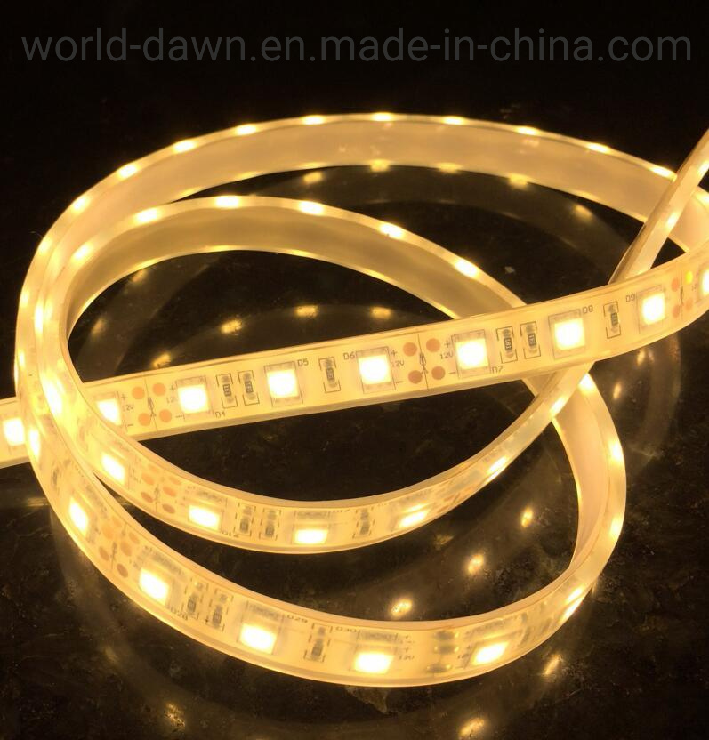12V/24V SMD LED Strip Light