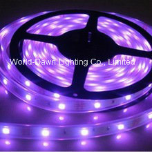 High Brightness Flexible LED Strip with CE Approval for Purple Color (Multi-color) Light