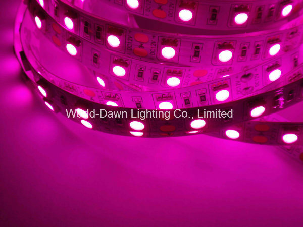 LED Tape Light for Pink Color with Ce Approval