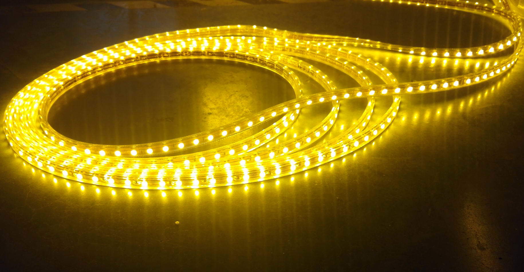 AC127V 220V Outdoor LED Strip Light with 2 Years Warranty