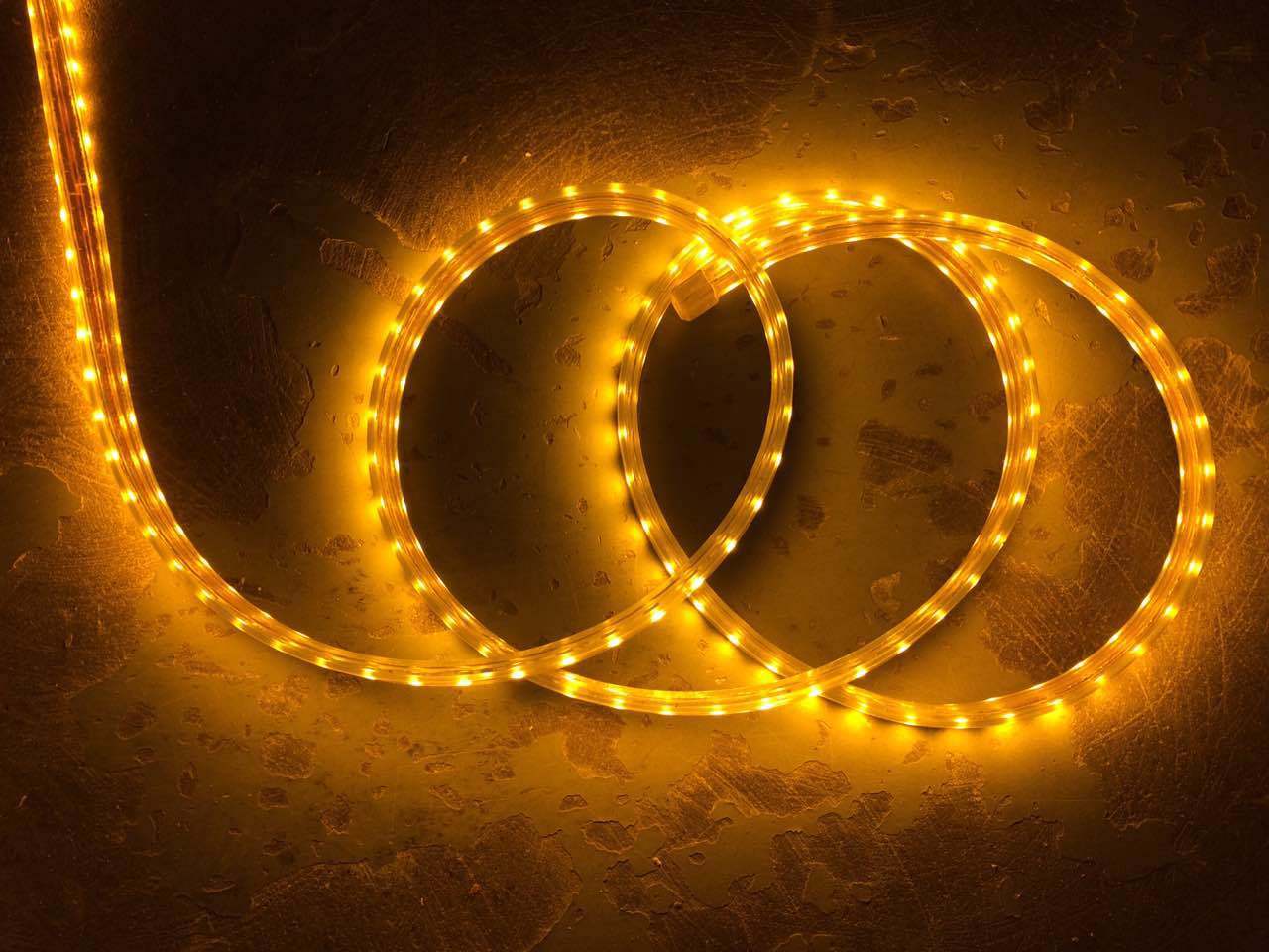 AC127V 220V Outdoor LED Strip Light with 2 Years Warranty