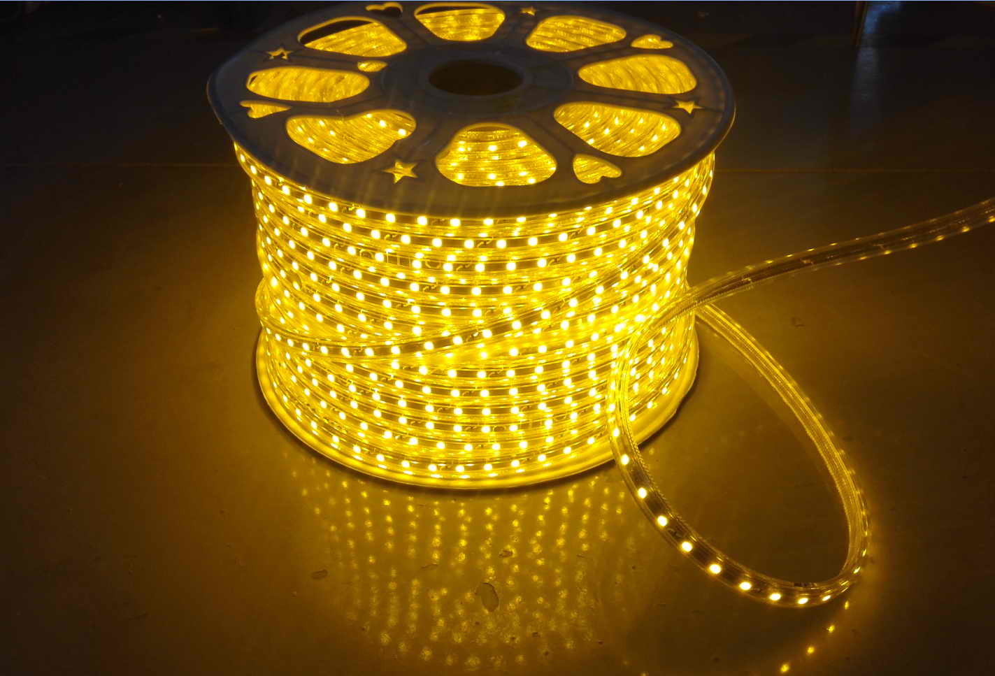 AC127V 220V Outdoor LED Strip Light with 2 Years Warranty