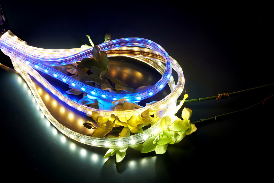 SMD High Voltage Rope Light with Ce Approval