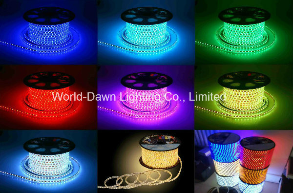 110V 220V High Voltage Rope Light with Waterproof Connector