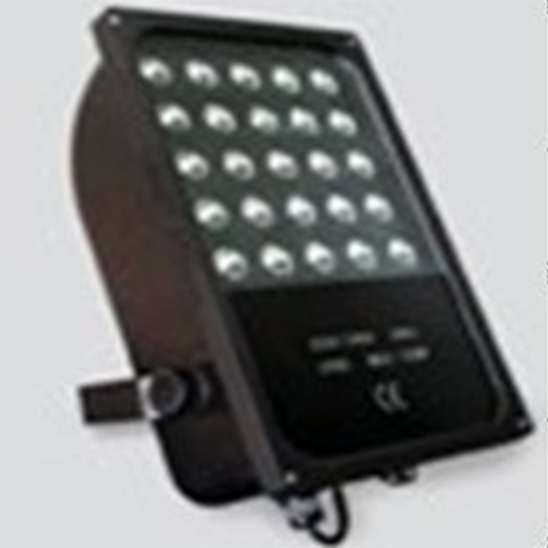 25W Single Color or RGB Color LED Floodlight (WD-FL-2002B)