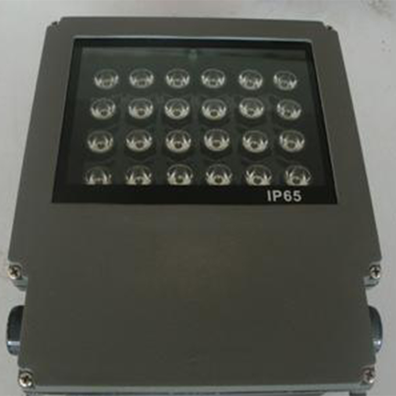 24W Single Color or RGB Color LED Floodlight (WD-FL-2002C)