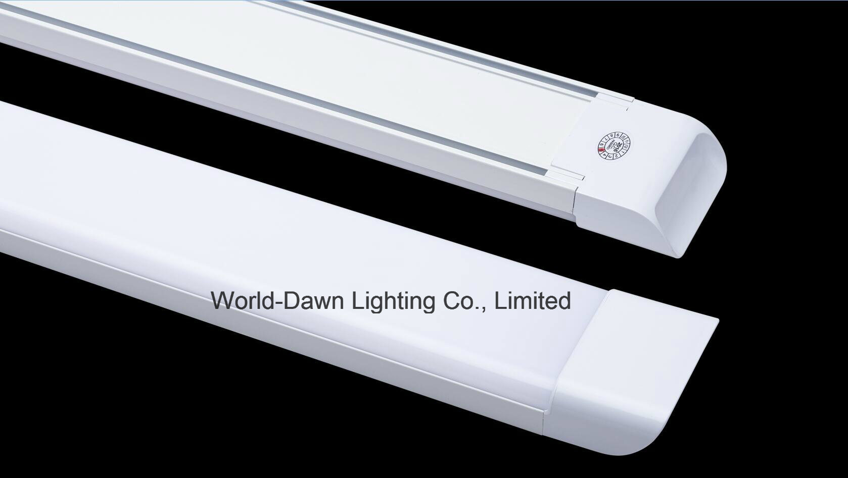 LVD 2 Years Warranty LED Batten Light (WD-300-Batten-10W)