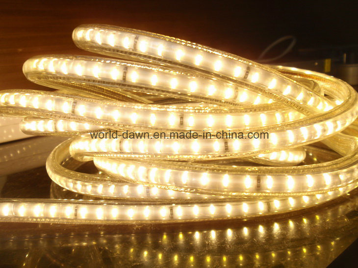 SMD3014 High Lumen LED Rope Light LED Strip