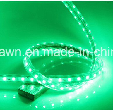 Ce EMC LVD RoHS Two Years Warranty 220V LED Rope Light