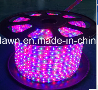 Ce EMC LVD RoHS Two Years Warranty RGB LED Rope Light