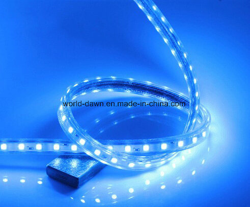 Ce EMC LVD RoHS Two Blue Color 120V 220V LED Rope Light (3528-60)