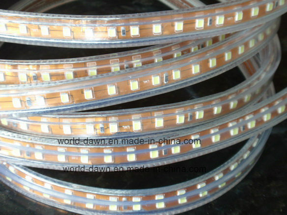 Ce 2 Years Warranty 220V/127V Flexible LED Rope Light (SMD2835-180LED)