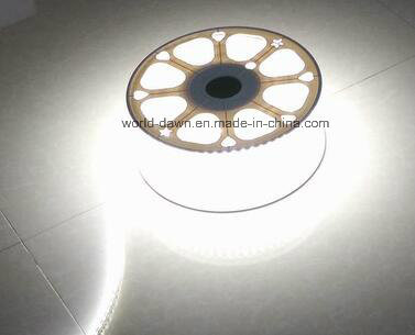 Ce 2 Years High Lumen LED Rope