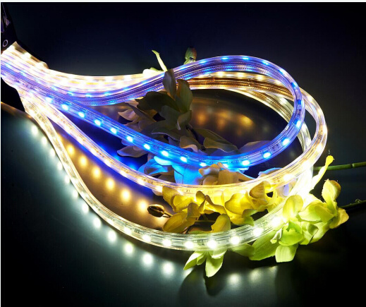 2016 Latest High Lumen LED Rope Light (220V or 110V)