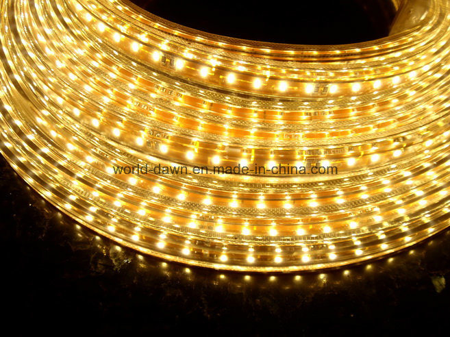 Ce RoHS Super Bright 220V 127V SMD3014 LED Rope Light