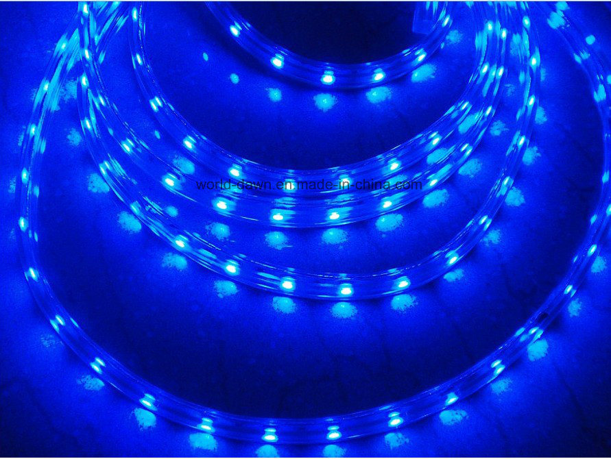 SMD High Voltage Flexible Rope Light for Blue Color (Multi-color)