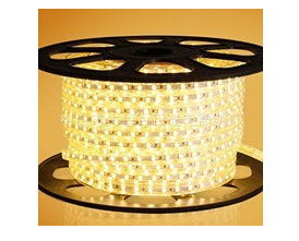 Hot Sale, CE EMC LVD RoHS Two Years Warranty, High Lumen SMD 2835 LED Rope Light