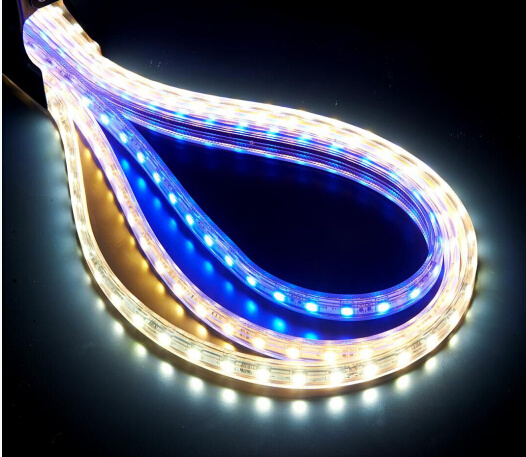 Ce EMC LVD RoHS Certification High Voltage SMD LED Rope Light