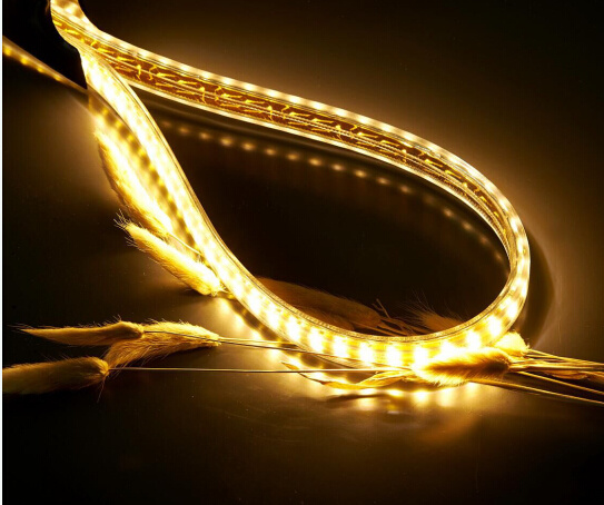 SMD High Lumen LED Rope Light LED Strip Light (220V or 110V)
