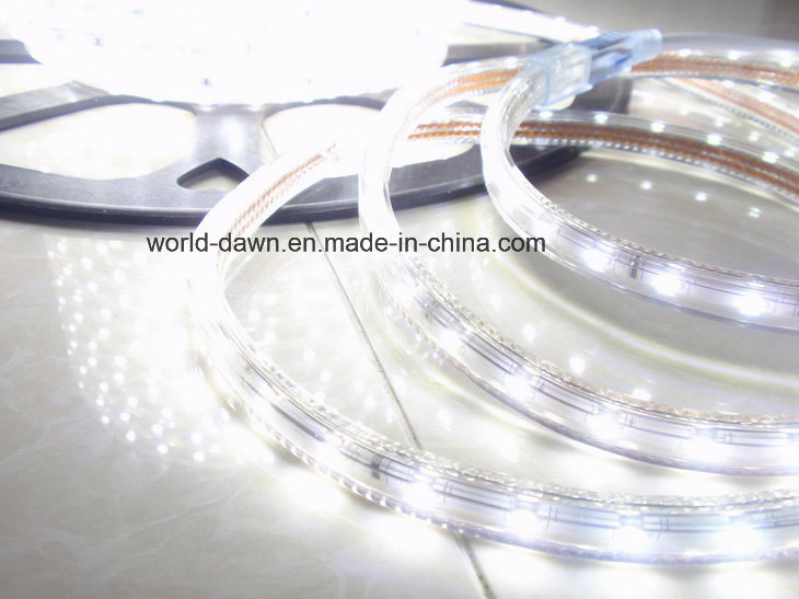 Super Brightness SMD2835 LED Rope Light Strip Light (HVSMD2835-60)
