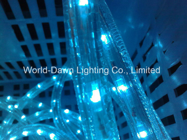 Blue Color 2 Wire LED Round Rope Light