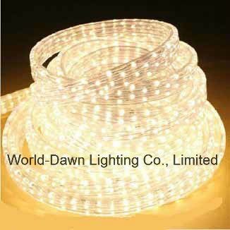 High Voltage 5 Wires LED Flat DIP Rope Light for Multi Color