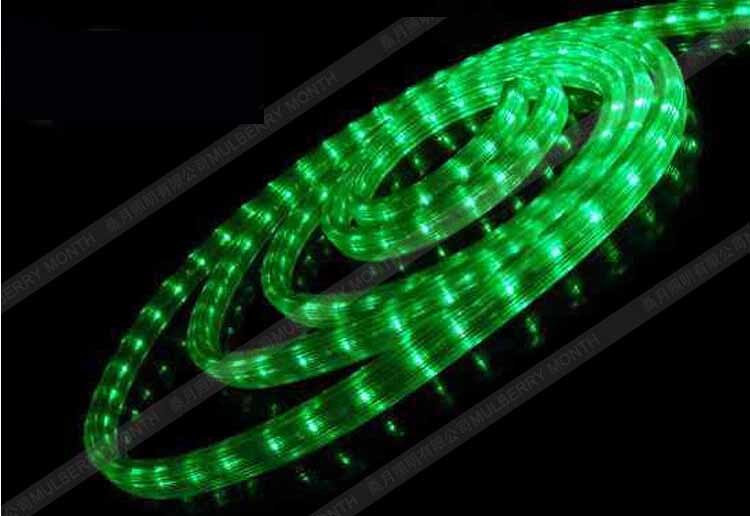 3 Wire Flat Rope Light
