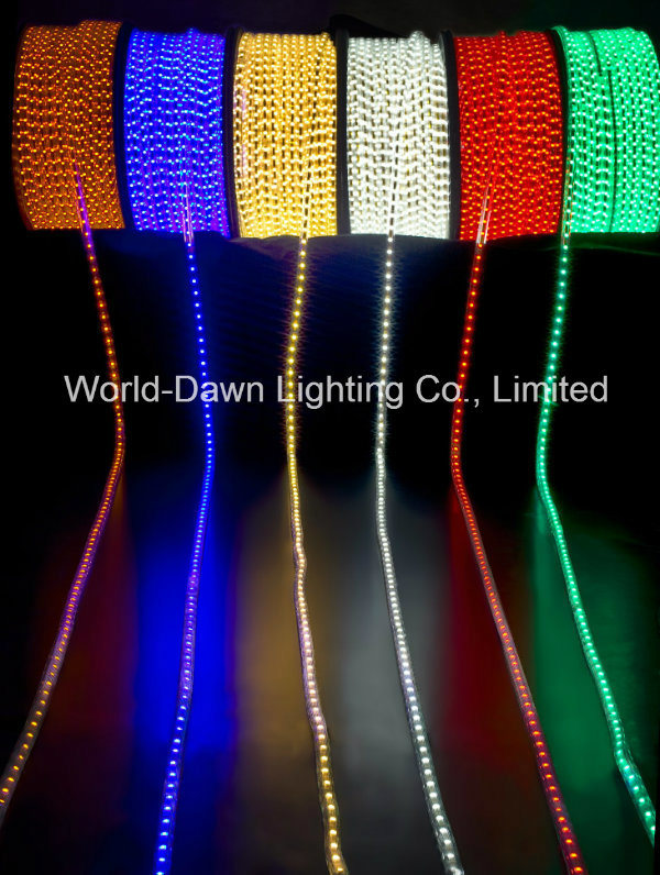 110V 220V High Brightness LED Rope Light for SMD2835