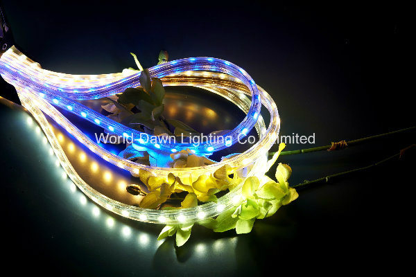 High Brightness LED High Voltage Rope Light with CE Approval