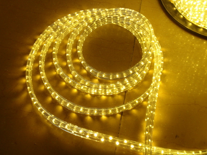 110V 220V 3 Wire Flat LED Rope Light
