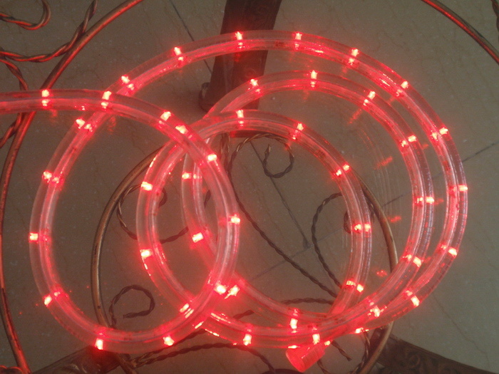 Red 2-Wire LED Round Rope Light