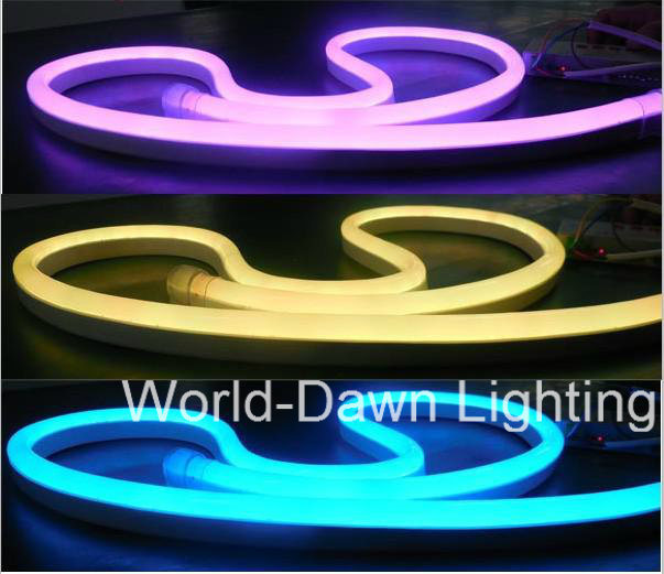 High Brightness Decorated LED Neon Flex (WDLSN-220-F5-80LEDs-E)