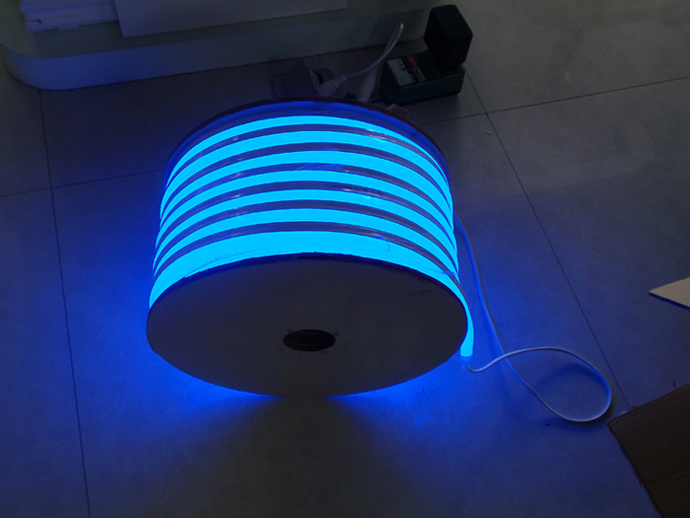 Ce EMC LVD RoHS Two Years Warranty Blue LED Flex Neon
