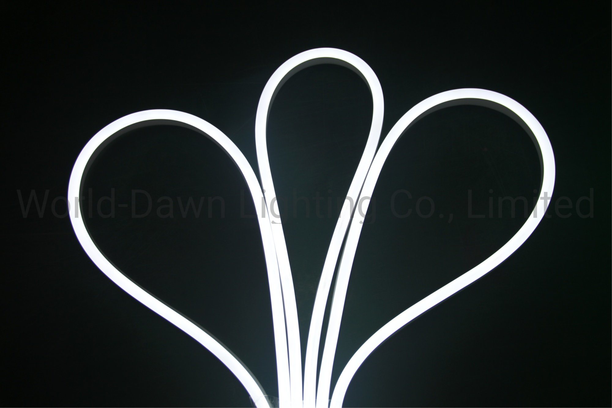 LED Silicon Neon Flex with Flat Shape