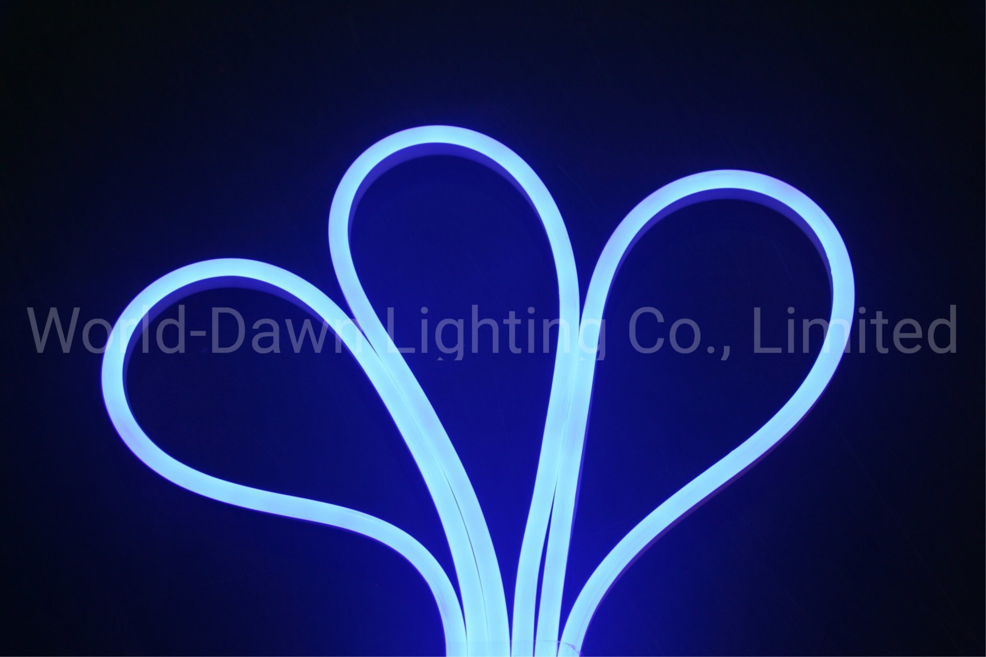 Multi-Specification Silicon LED Neon Light