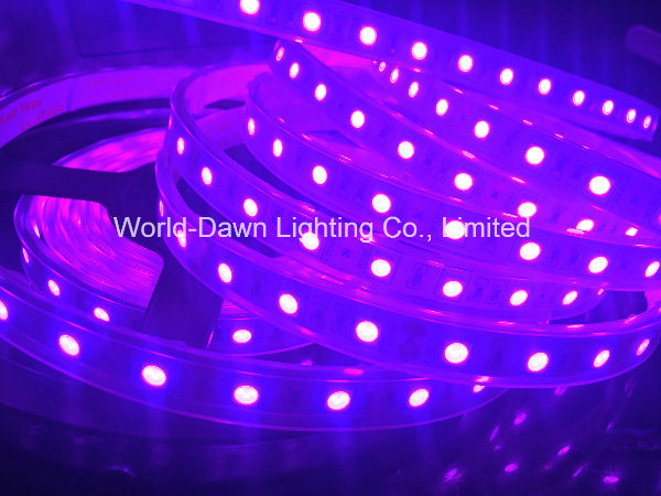 High Brightness LED Strip Light with CE Approval for Purple Color