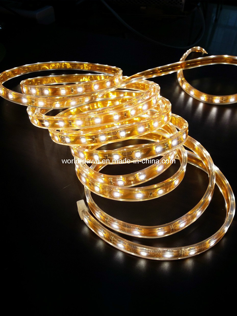 Ce EMC LVD RoHS Two Years Warranty, Waterproof Flexible LED Strip Light