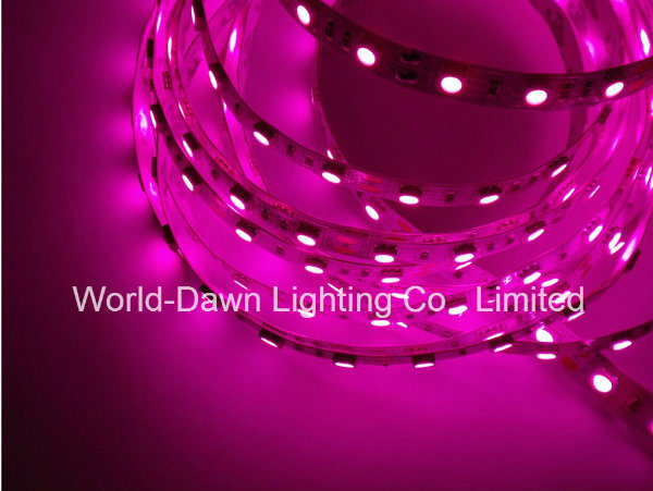 High Brightness Flexible LED Strip with CE Approval for Pink Color