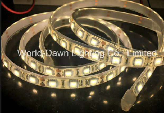 IP65 High Brightness LED Strip Light with CE Approval for SMD5050