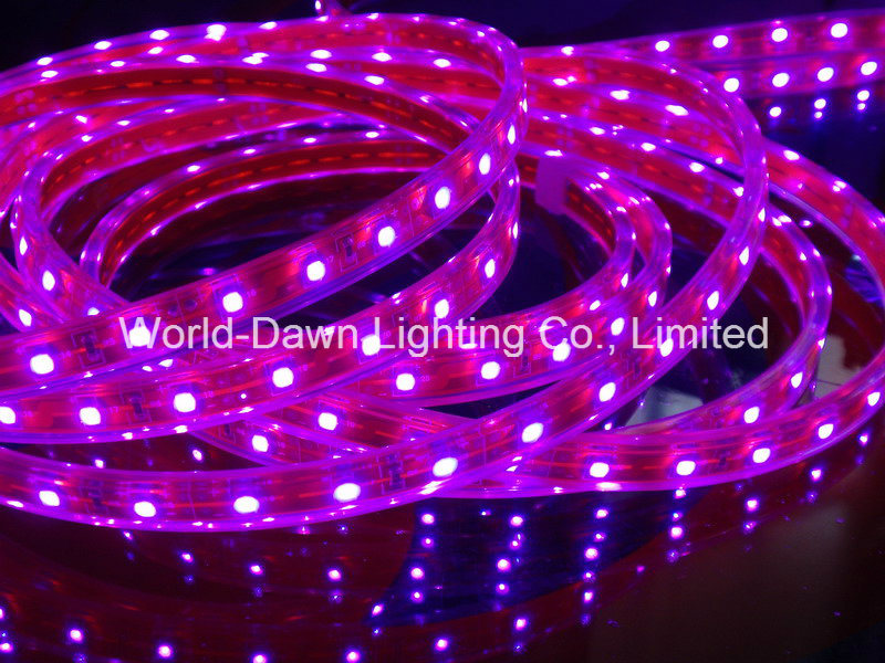 LED Flexible SMD3528/5050 Pink Strip Light with Ce& RoHS