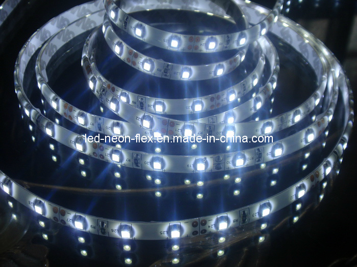 LED Flexible Cool White Strip with Ce Approval
