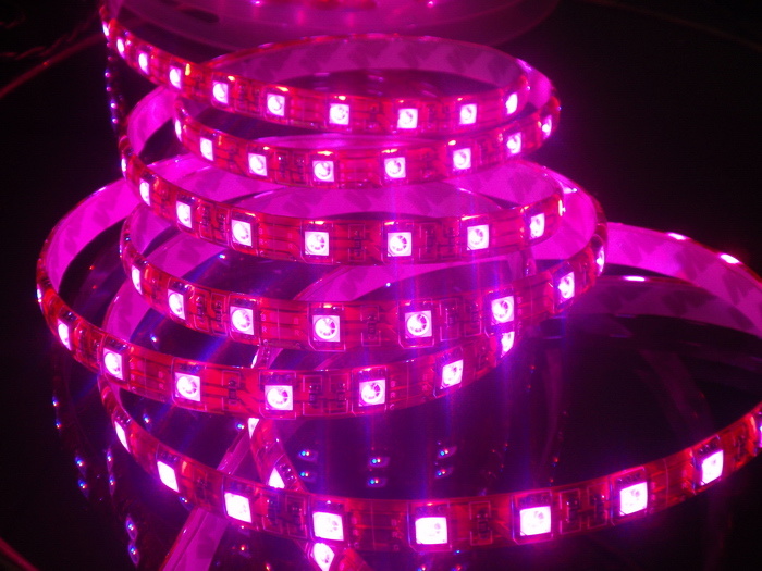 LED Flexible SMD3528/5050 Pink Strip Light with Ce& RoHS