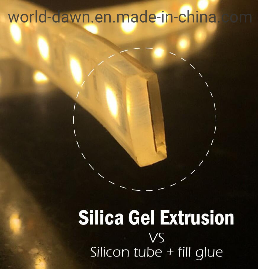 12V/24V SMD LED Strip Light