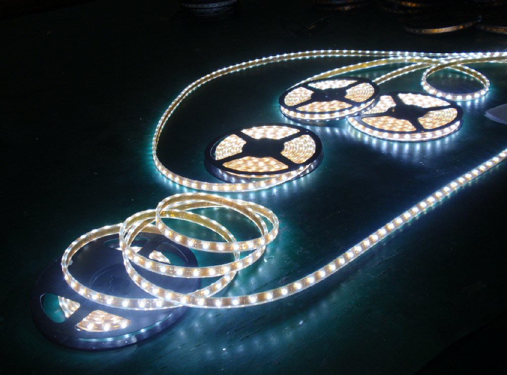 Cool White Color Flexible SMD5050 LED Strip Light with Ce and RoHS