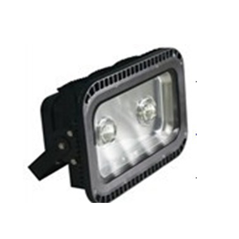 Outdoor Lighting LED COB Floodlight