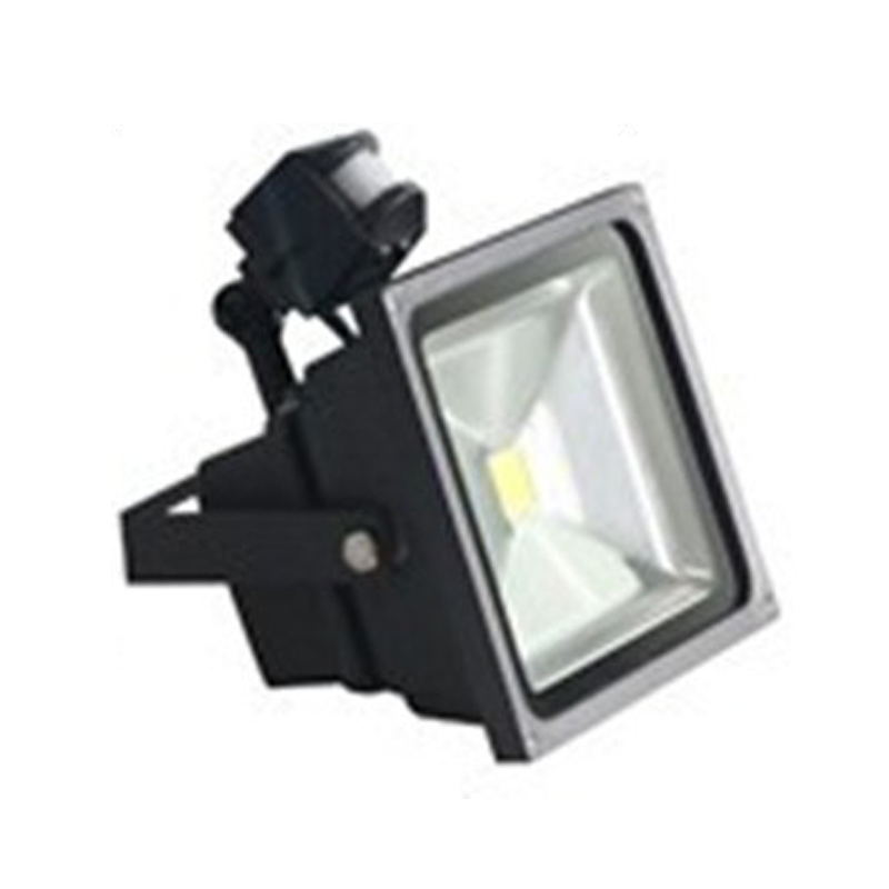 High Power High Brightness PIR COB Floodlight